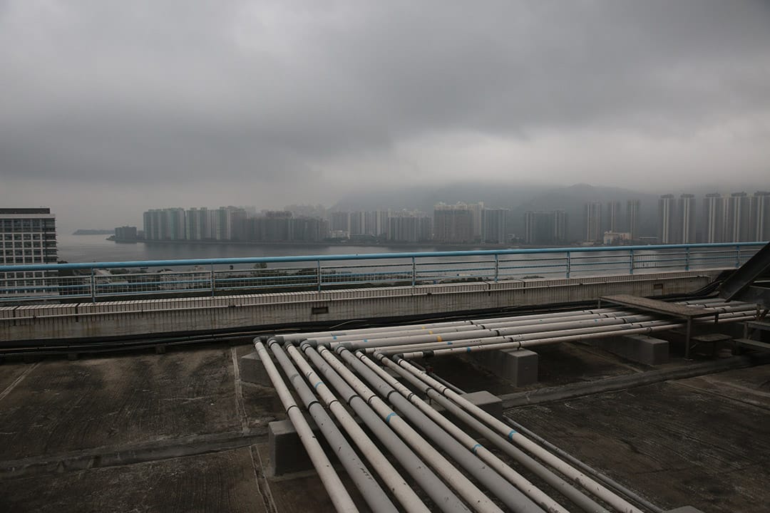 黃姓學生,21歲,大學四年級學生,中文大學。20/1/2016