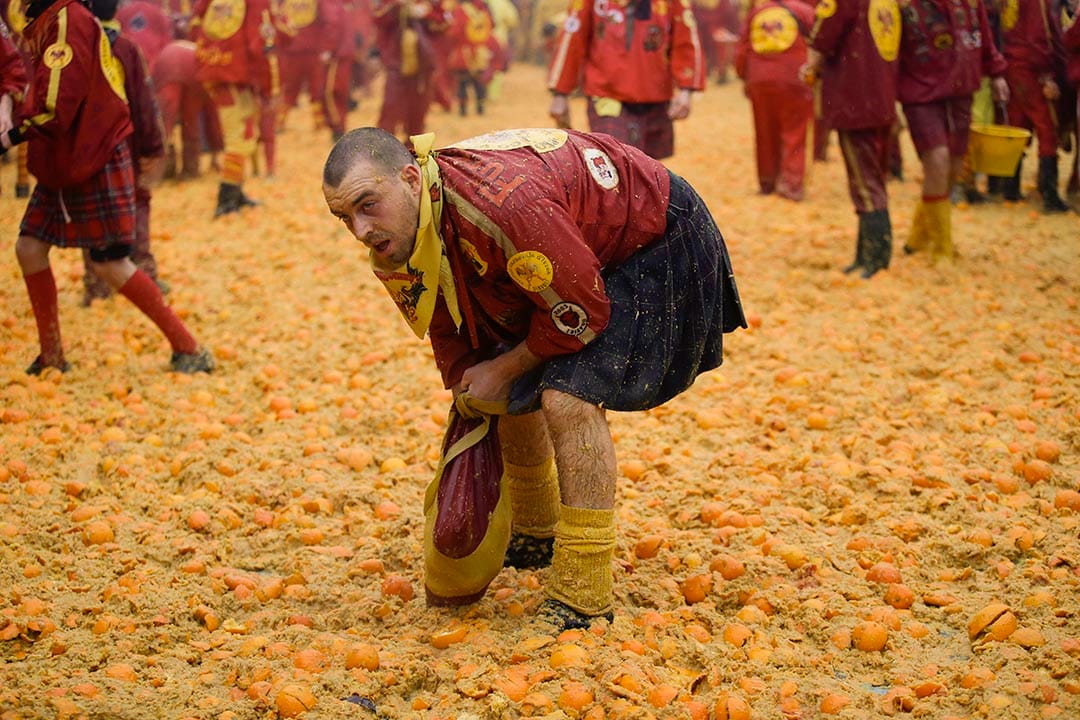 在意大利,一个男人在传统的橘子大战中收集橘子。摄:Luca Bruno/AP Photo