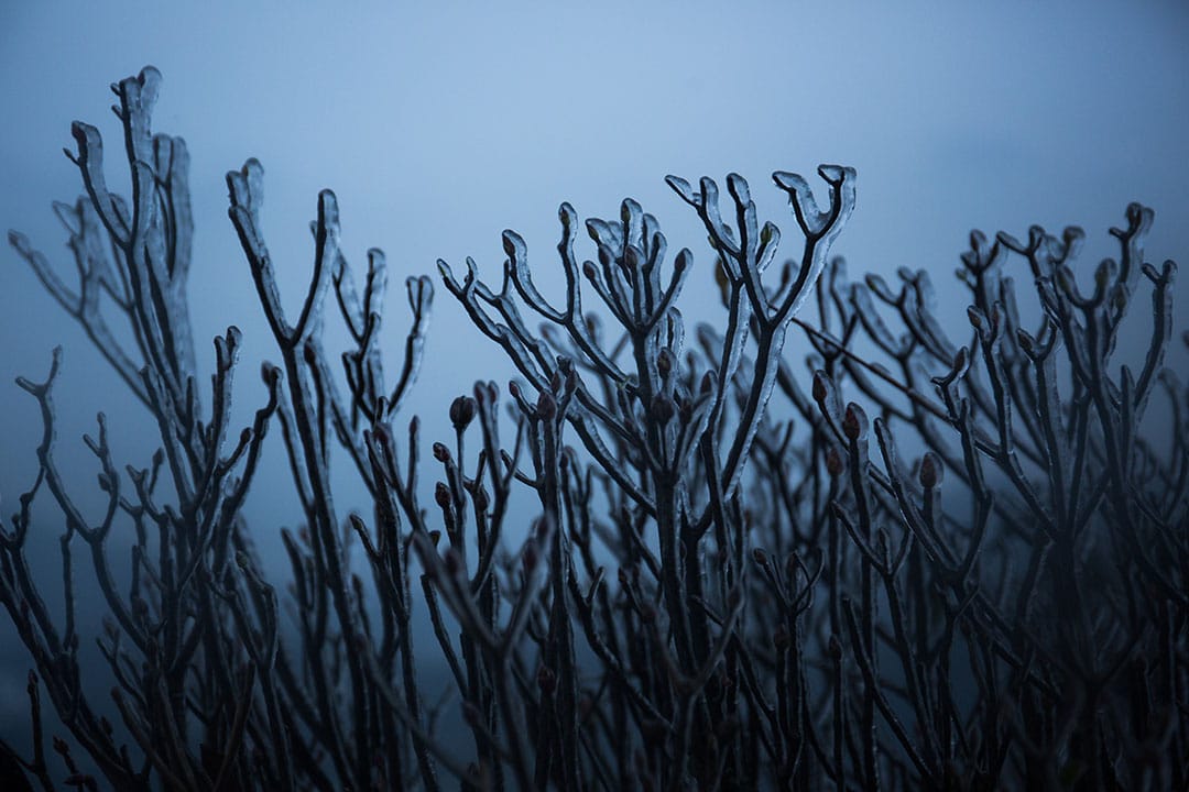 2016年1月24日,香港凤凰山。摄:卢翊铭/端传媒