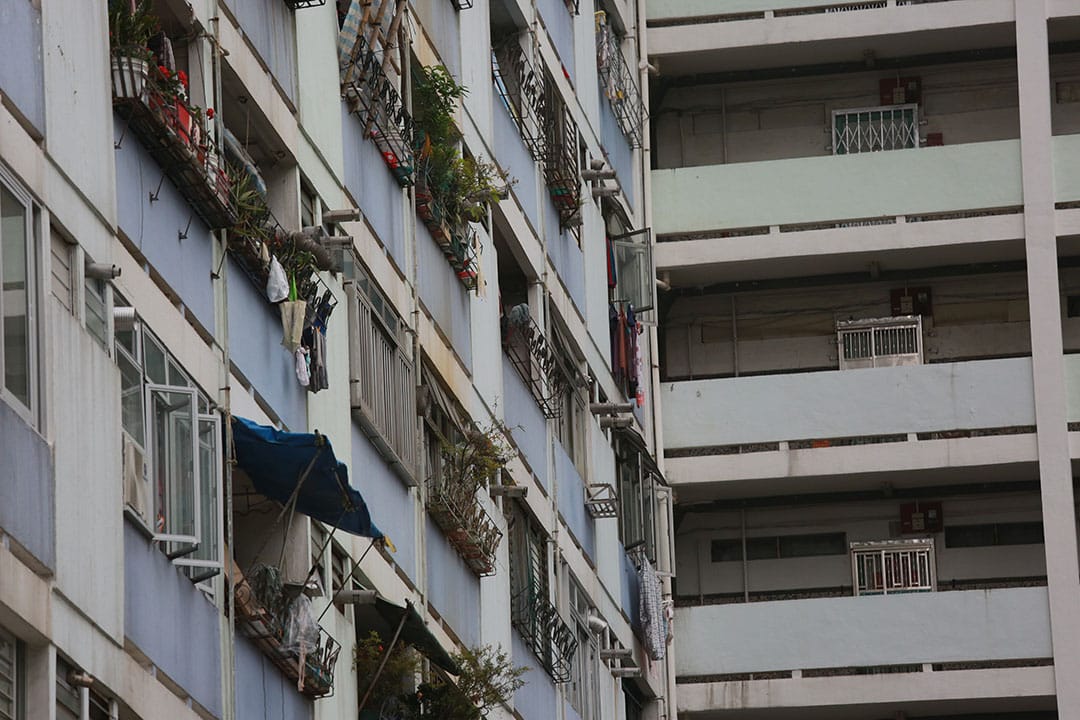 黎姓學生,12歲,中學一年級,牛頭角。12/2/2016