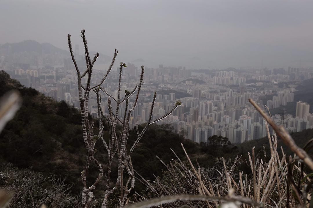 飞鹅山。摄:Anthony Kwan/端传媒